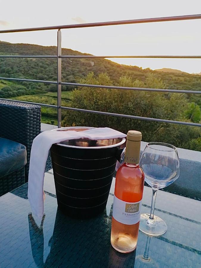 - Restaurant U Santu Petru Hotel Saint-Florent (Corsica)
